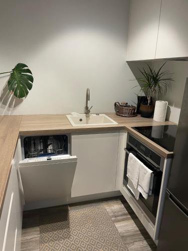 Nice and Cozy Apartment Next to Telliskivi, Tallinn (photo 9)