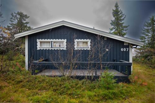 Trysilfjellet Nord 607 Trysilfjellet Nord 607