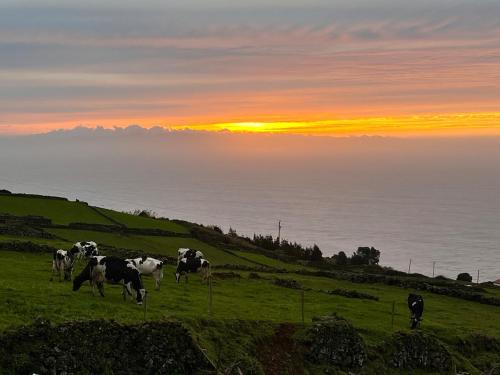 Casa do Postigo Rustic Refuge to Relax in เซร์เรตา