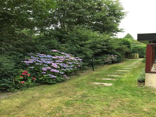Buitenkant, Bungalow for 4 people in Wildrijk in Sint Maartensvlotbrug