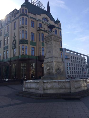 M&M Downtown Apartment - image 12