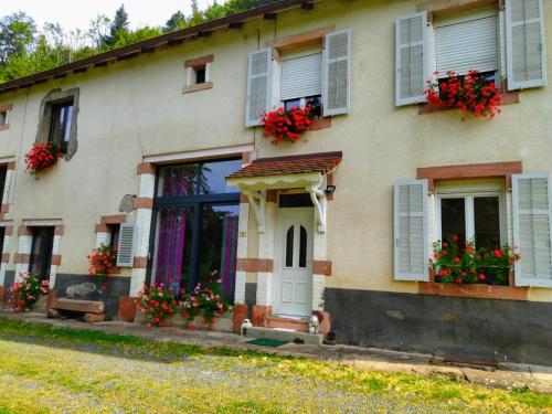 Le logis aux digitales in La Croix-aux-Mines