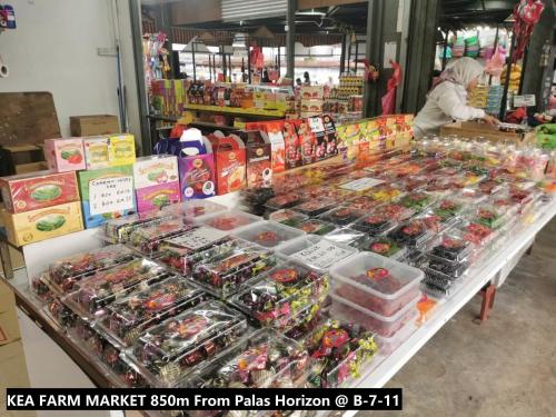 Palas Horizon Home B-7-11 Palas Horizon Home B-7-11