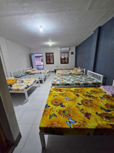 Minalungao Jonahs Transient in San Leonardo