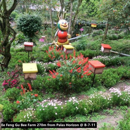 Palas Horizon Home B-7-11 Palas Horizon Home B-7-11