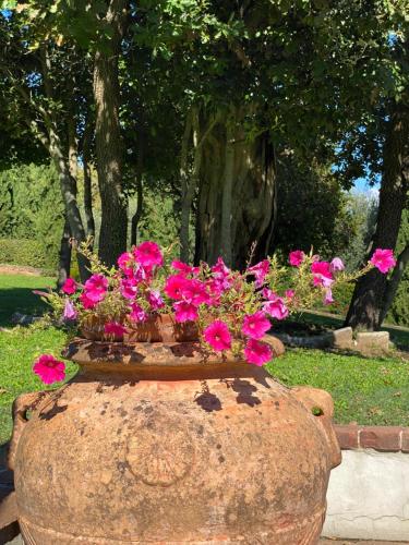 Podere Casanuova - Accommodation - San Gimignano