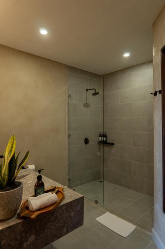 632158364 Koora Monteverde a Cloud Forest Hotel by Sandglass