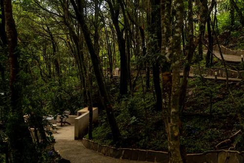 632160347 Koora Monteverde a Cloud Forest Hotel by Sandglass