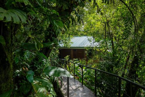 632160409 Koora Monteverde a Cloud Forest Hotel by Sandglass
