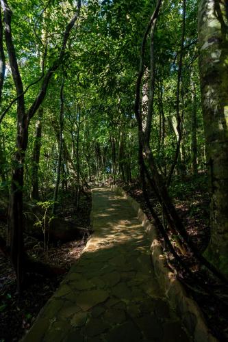 632160970 Koora Monteverde a Cloud Forest Hotel by Sandglass