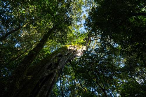 632161026 Koora Monteverde a Cloud Forest Hotel by Sandglass