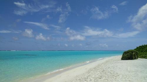 Avi Guesthouse Avi Guesthouse