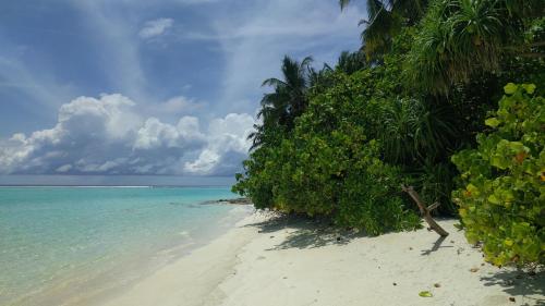 Avi Guesthouse Avi Guesthouse