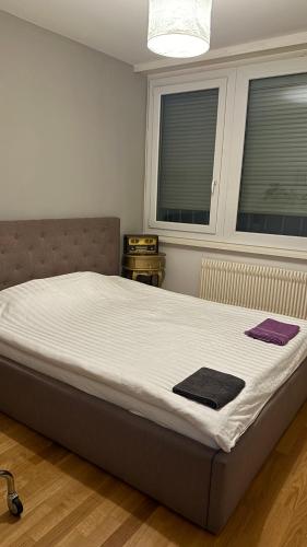 Appartement Famille, Ginevra (foto 5)