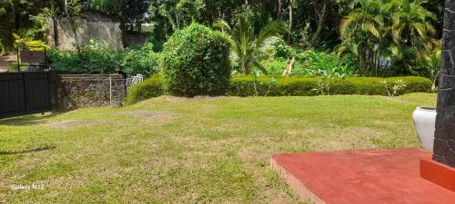 Superior Villa image 10