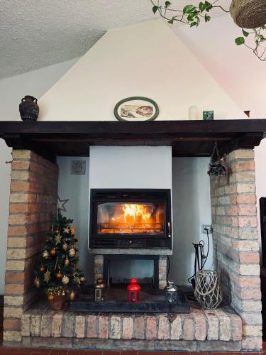 AGRITURISMO LA MOROLLA