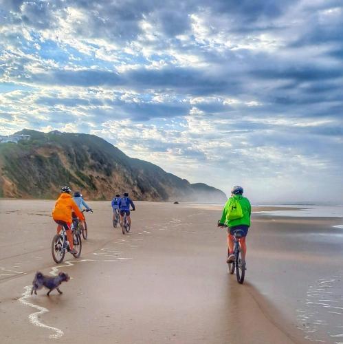 Nora's Place Nora's Place