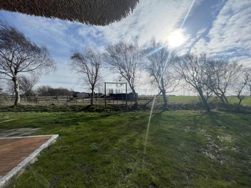 Apkārtne, Seedeich 2 in Norddeich (Schleswig-Holstein)