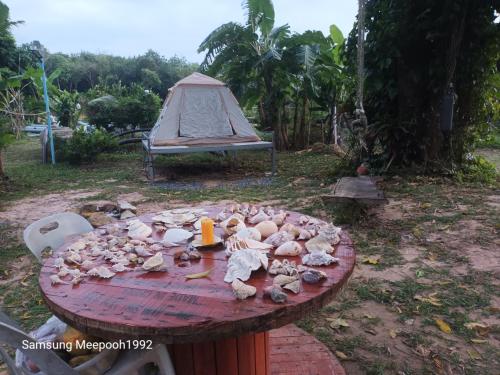PhaluayCamping in Ko Phaluai