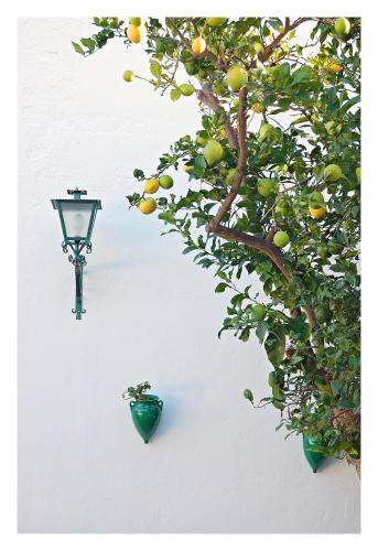 Hostal La Posada - image 7
