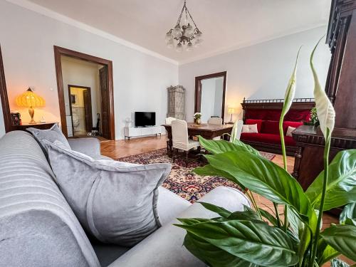 Unique & Spacious 3BR Historic Flat in City Centre, Sarajevo (foto 4)
