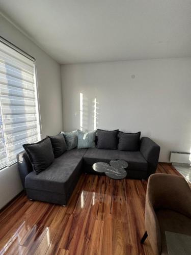 베오그라드 VEMA 3 Apartments 2성급 싱글룸 레스토랑