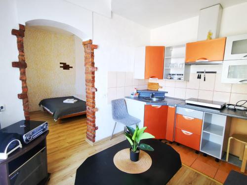 One-Bedroom Apartment image 10