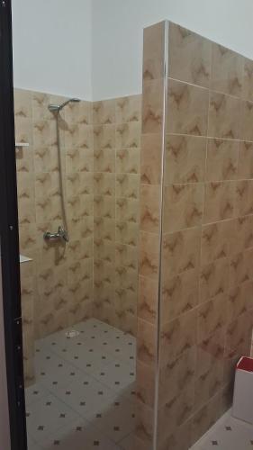 Pelican in La Somone