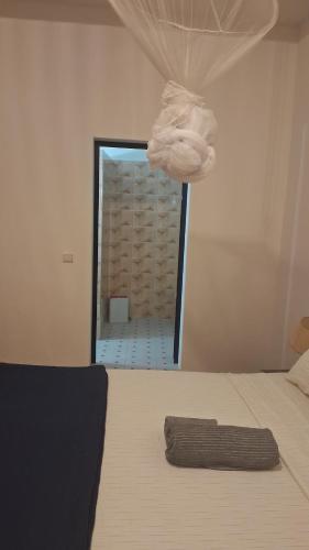 Pelican in La Somone