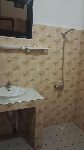 Pelican in La Somone