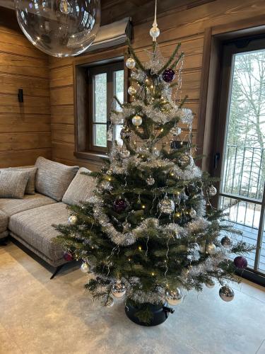 Roubenka Pod hvězdami (Roubenka Pod hvezdami) in 斯特雷茨尼