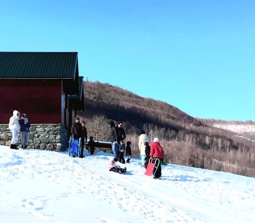 Country House Eco village Ćorić - image 9