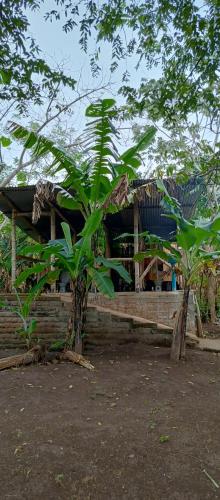 La Sirenita - Ometepe in Альтаграсия