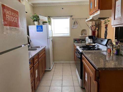 WHOLE Family - Barrette in Old North Sacramento