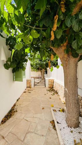 Cales de Menorca 10 4