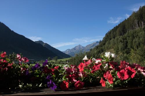 Hotel-Garni Kaiserhof - image 6