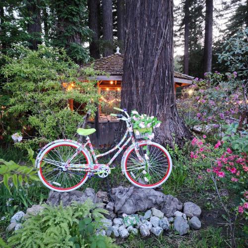 Miranda Gardens Resort Miranda Gardens Resort