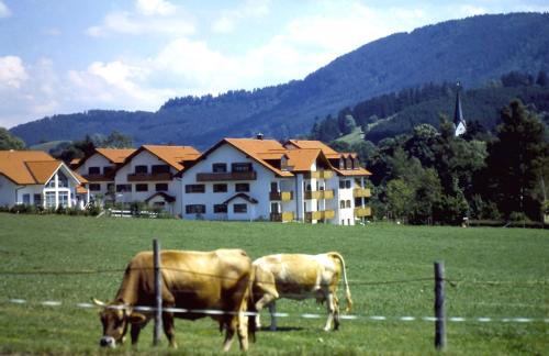 Appartements Alpenresidenz - Apartment - Weitnau