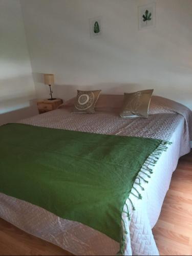 Nireco 1 in Chos Malal