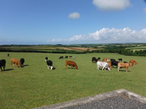 Tregaddra Farm B&B