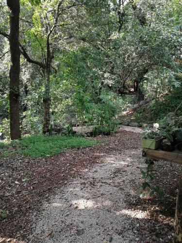 La Maisonnette, casita linda en el bosque in ซานเปโดร