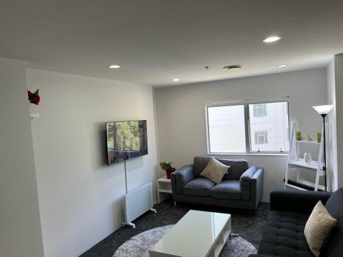 2br newly renovated apartment w free parking