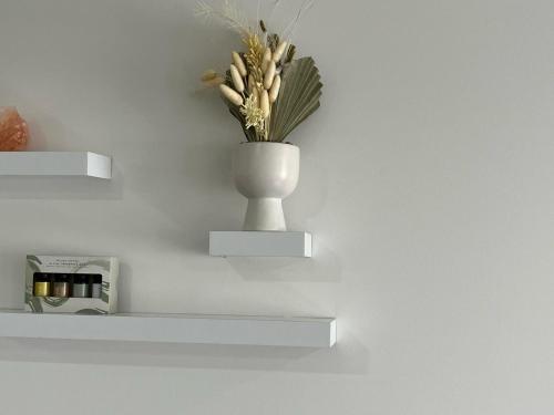 2br newly renovated apartment w free parking