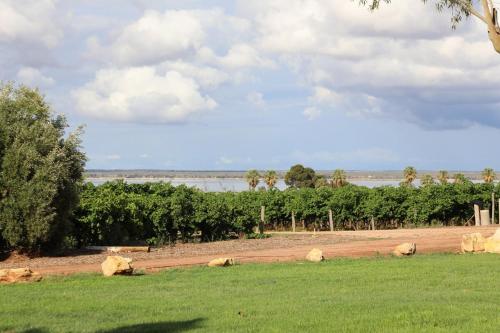 ทัศนียภาพ, Dreamy Abode - Vineyard Retreat in บาร์เมรา