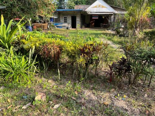 Ban Pa Pen Ban Pa Pen