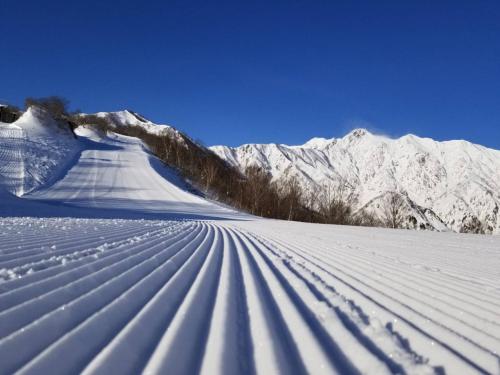 스포츠&체험활동, See 遊 in HAKUBA 和楽 in 하쿠바