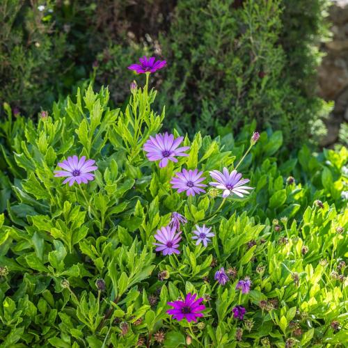 Ocean View House Getaway Ocean View House Getaway