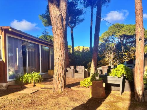 บริการและสิ่งอำนวยความสะดวก, T3 Les pieds dans l'eau in กัลวี