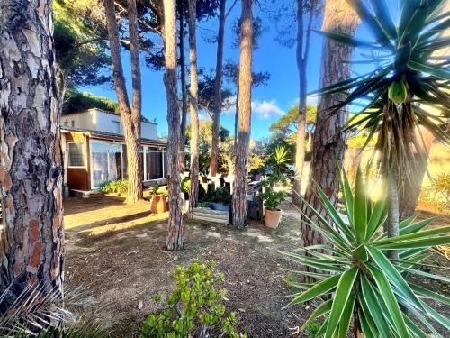 ทัศนียภาพ, T3 Les pieds dans l'eau in กัลวี