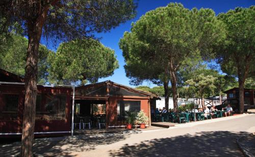 Complejo Turístico & Camping Cabopino - image 12